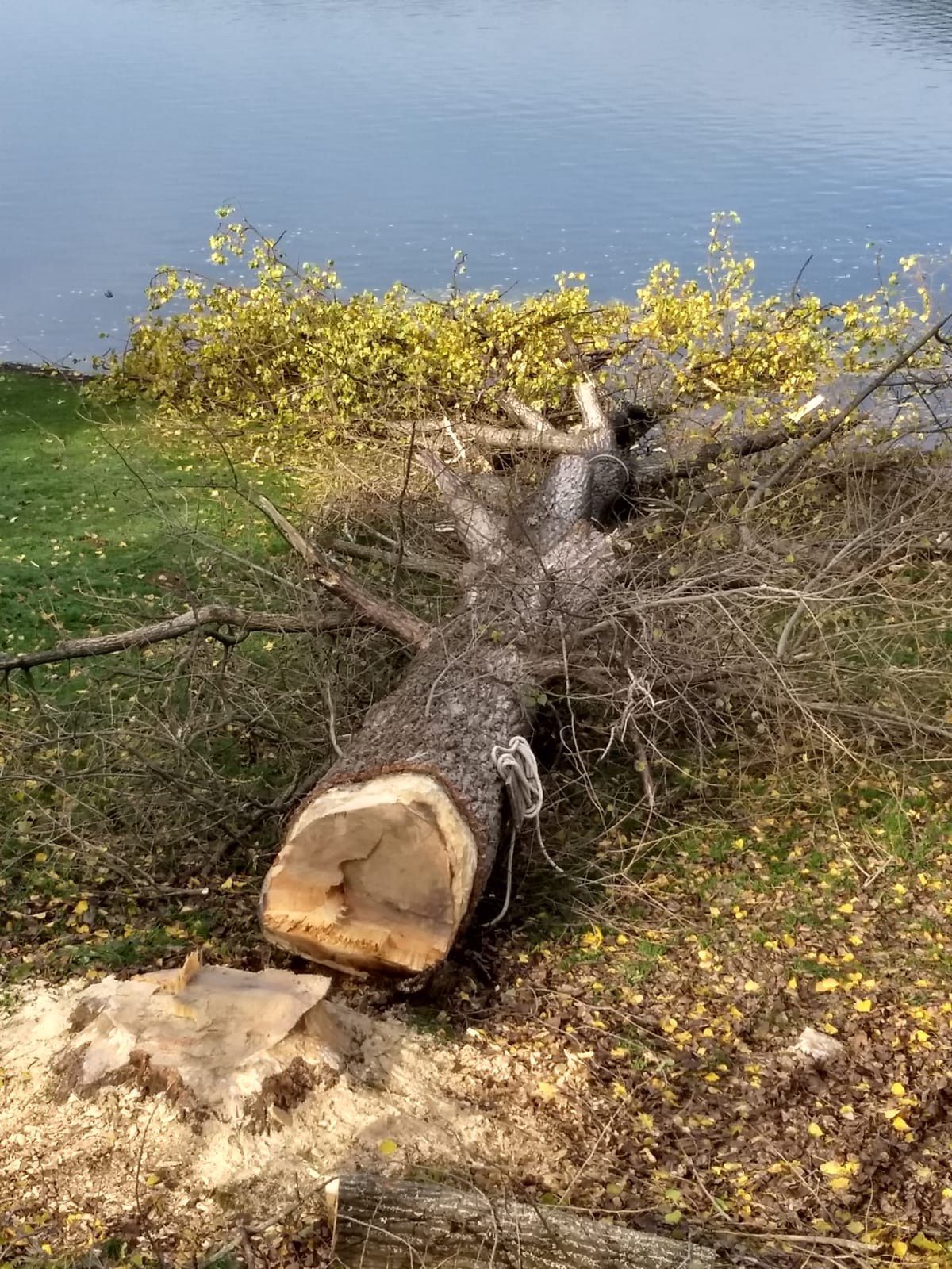 Gródek nad Dunajcem - akcja strażaków 