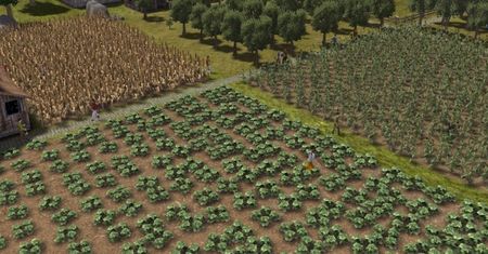 W Banished patrzenie jak zboże rośnie może być fascynujące - od tego zależy los całej wioski