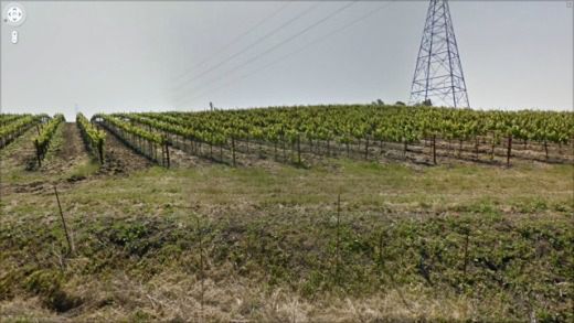 Skąd wzięła się standardowa tapeta Windowsa XP? 4