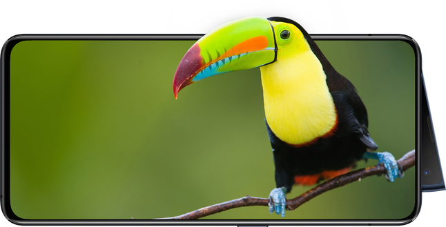 OPPO Reno2