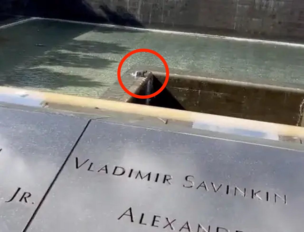 Skoczył do basenu na terenie pomniku pamięci 9.11. Przeżył, ale został aresztowany