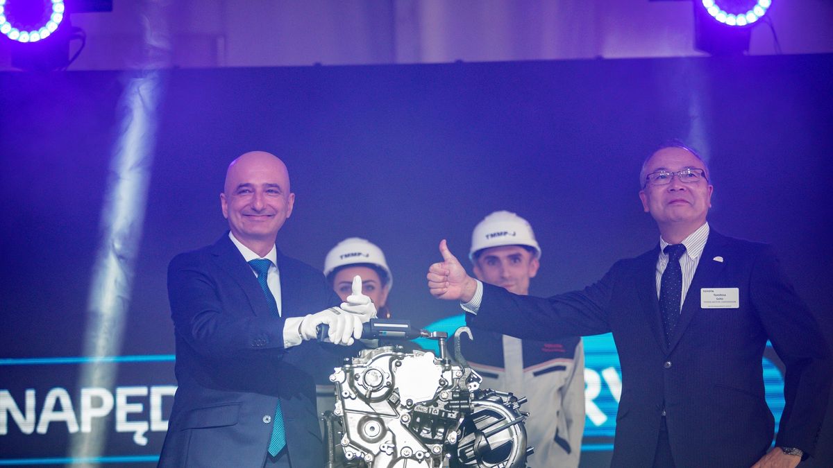 Zdjęcie ilustracyjne do artykułu