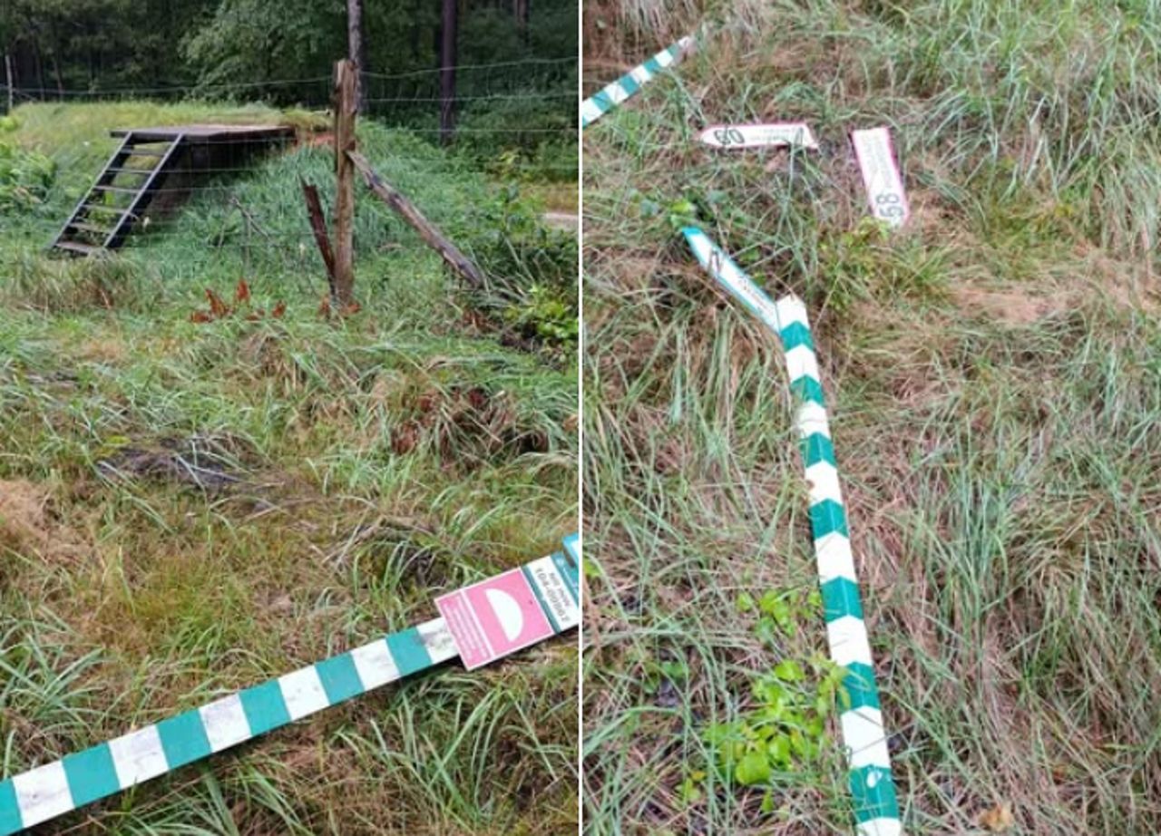 Leśnicy załamują ręce. Pokazali, co zastali w lesie