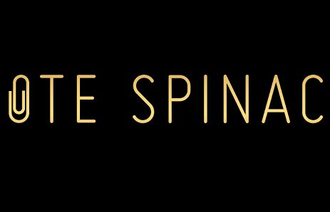 Ruszyły zgłoszenia do szesnastej edycji Złotych Spinaczy