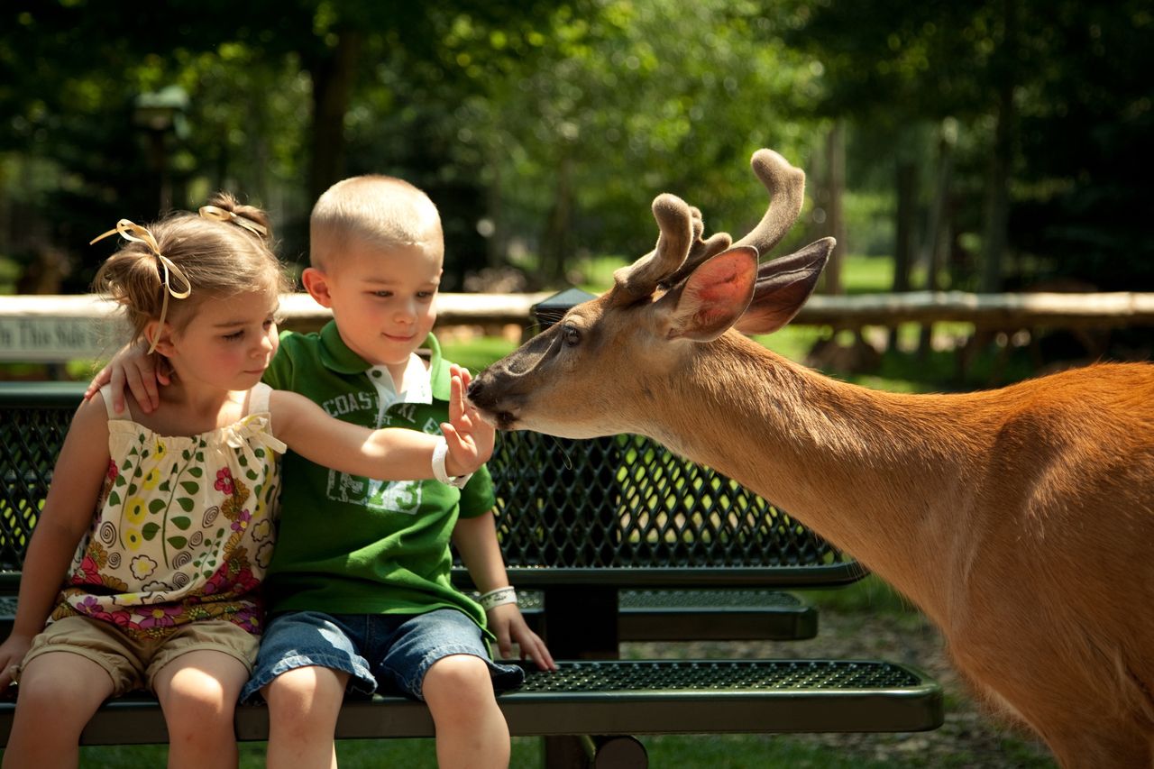 Zoo w Gdańsku znów otwarte. Odwiedzających czekają zmiany