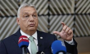 TSUE wydał wyrok ws. Węgier. Chodzi o konopie indyjskie