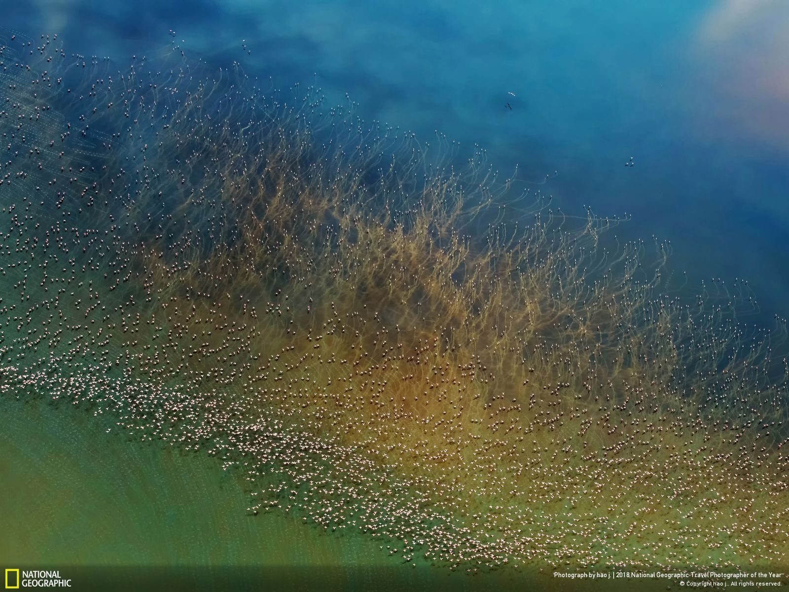 Zobacz zwycięskie prace National Geographic Travel Photographer of the Year 2018 2