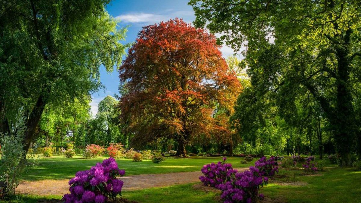 Serce Wzgórz Dalkowskich