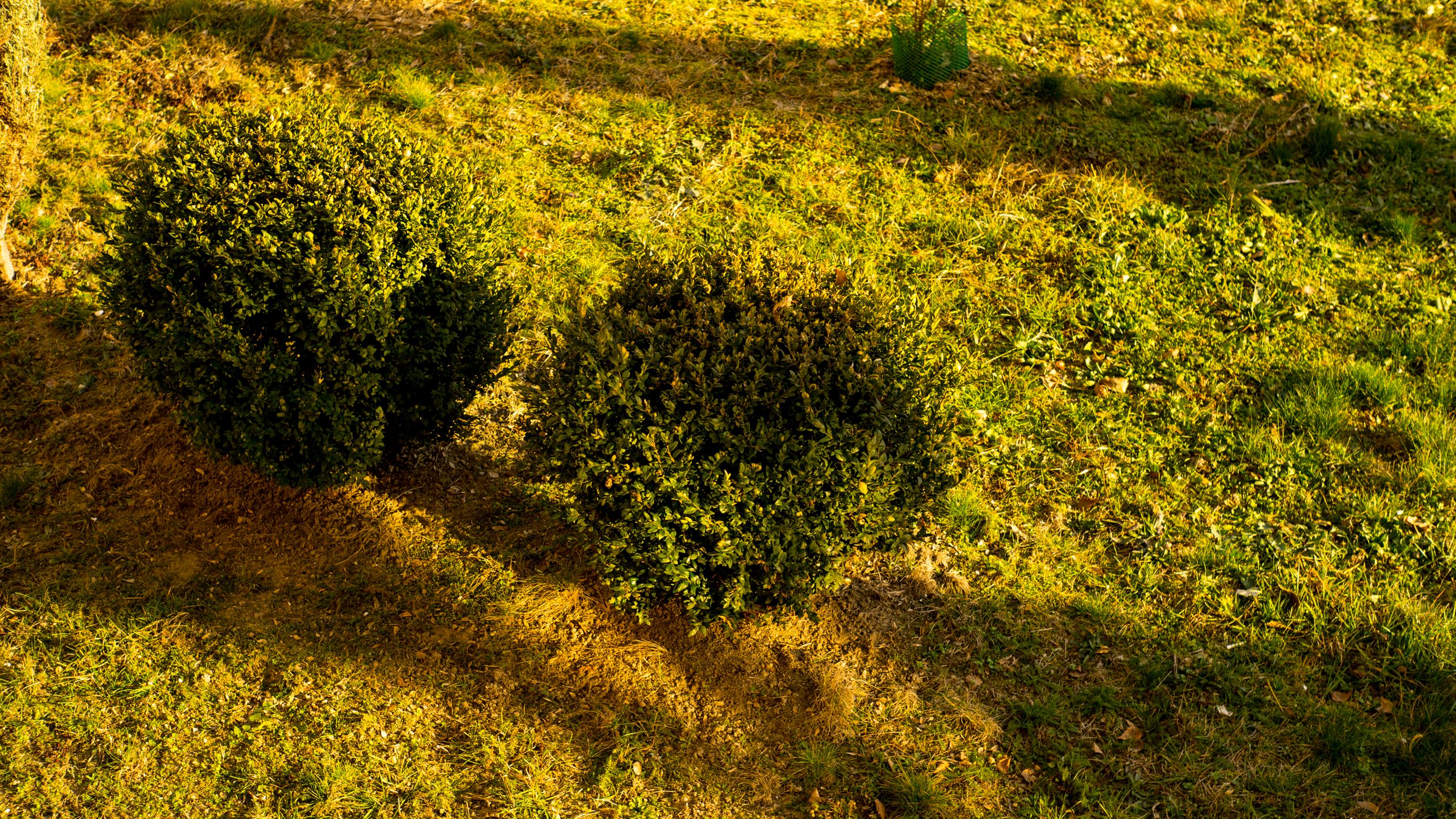 Najtańszy standard do bezlusterkowców - Industar L/D 55 mm f/2,8 9