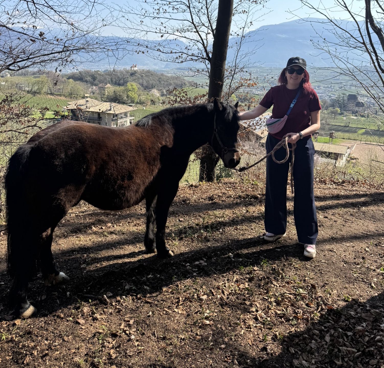 Gospodarstwo Nofnerhof to szansa obcowania z pięknymi końmi 