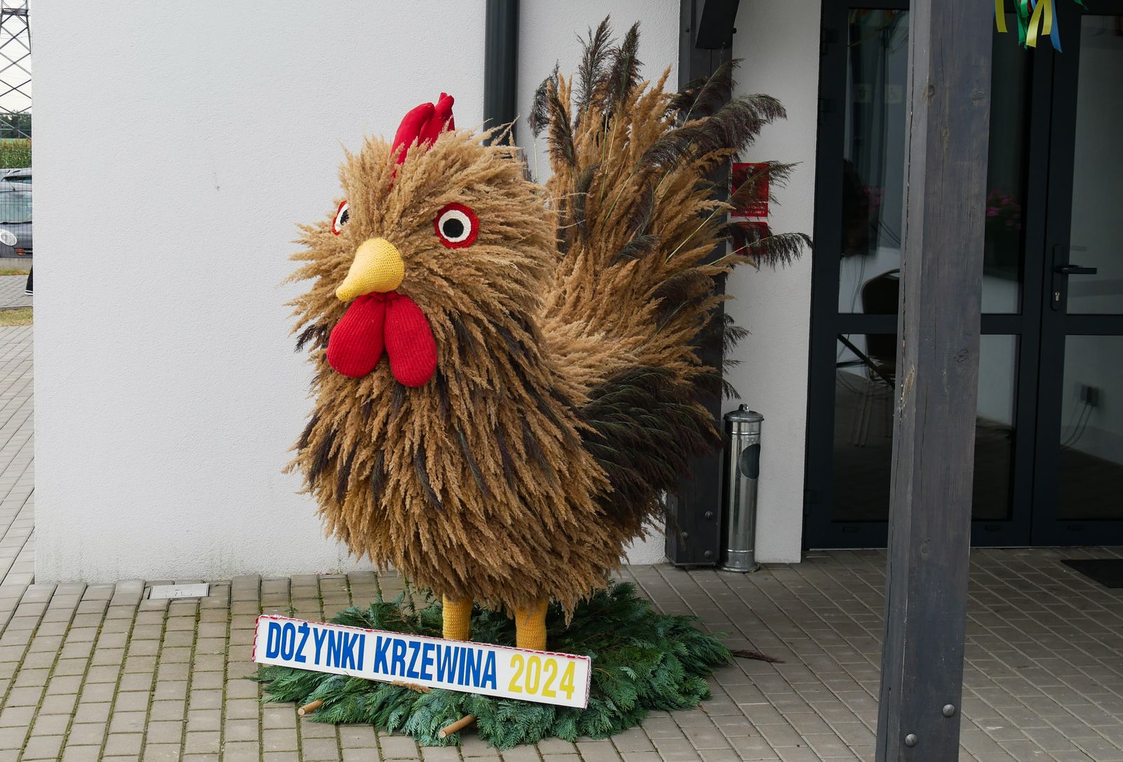 zdjęcie