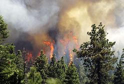 Pożar lasu w Kalifornii wymknął się spod kontroli