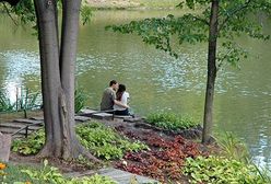 Kuratorium mówi: dość