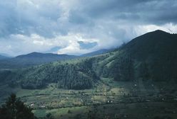 Darmowy Internet w amazońskiej dżungli