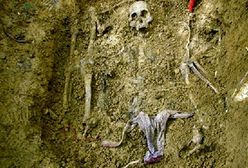 Odkopano 105 ofiar prawicowych paramilitarystów w Kolumbii