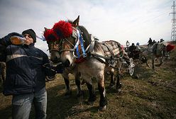 Ukradli siedemdziesięciolatce 200 litrów rakii