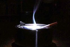 Obezwładnili strażnika, bo bardzo chcieli zapalić