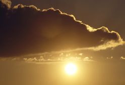 37 ofiar śmiertelnych fali upałów