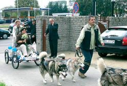 Psim zaprzęgiem do ślubu