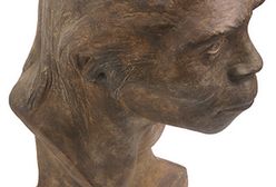 Biolog w sądzie: zwolnili mnie, bo nie wierzę w ewolucję