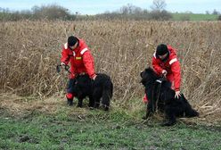 Rambo odnalazł zaginionego mężczyznę w bagnie