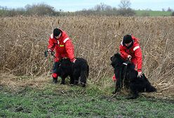 Arnie i Rambo w kilka godzin znalazły zwłoki