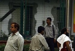 20 tys. małp bezkarnie wędruje po stolicy Indii