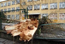 130 odbiorców w woj. lubelskim nadal nie ma prądu