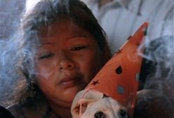 Setki wiernych z psami na mszy w intencji czworonogów