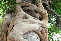 Izrael to nie tylko Ziemia Święta