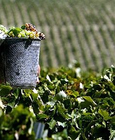 Hiszpania będzie potrzebować czterech milionów imigrantów