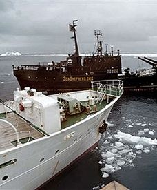 Pożar na statku wielorybniczym na Antarktyce