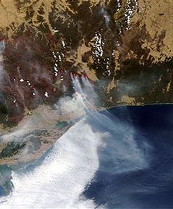 Olbrzymie pożary buszu w Australii