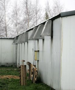 Likwidacja drobiu na fermach w powiecie płockim