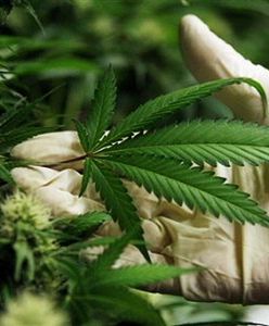 Szkoły ujawniają dilerów