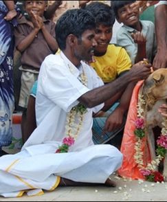 33-letni mężczyzna poślubił bezpańskiego psa