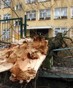 130 odbiorców w woj. lubelskim nadal nie ma prądu