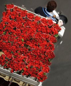 Minister apeluje, by w Walentynki kupować róże z Kenii