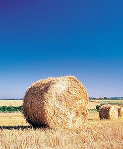 Potrącił ciągnikiem swojego 9-letniego syna