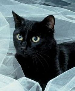 "Trzeba wierzyć w Boga, a nie w piątek trzynastego"