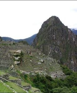 Rabuś w Machu Picchu