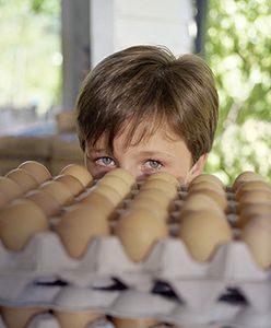 Kupując jajka, patrz na oznaczenia