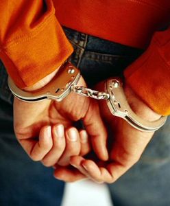 Włamywacz z Katowic zatrzymany po powrocie z Irlandii