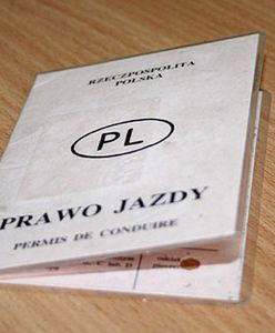 Ogólnonarodowe gubienie praw jazdy