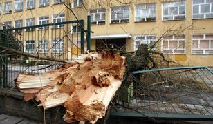 130 odbiorców w woj. lubelskim nadal nie ma prądu