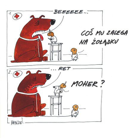 Obraz