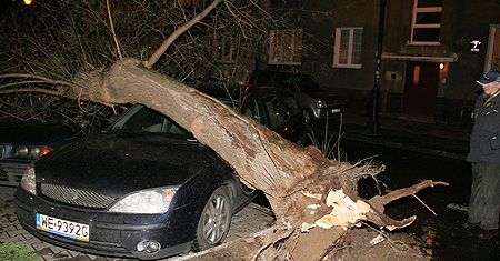Skutki wichury: tysiące Polaków wciąż bez prądu