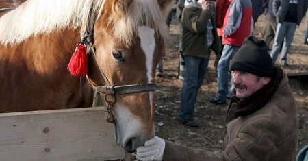 1000 koni na skaryszewskich "Wstępach"