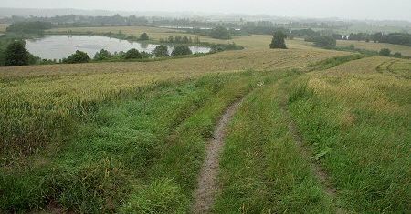 Znajomy doradcy Leppera przyznał się do winy