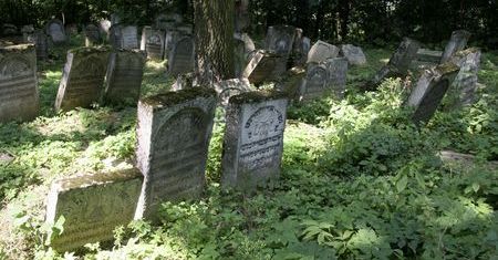 Więźniowie do synagog